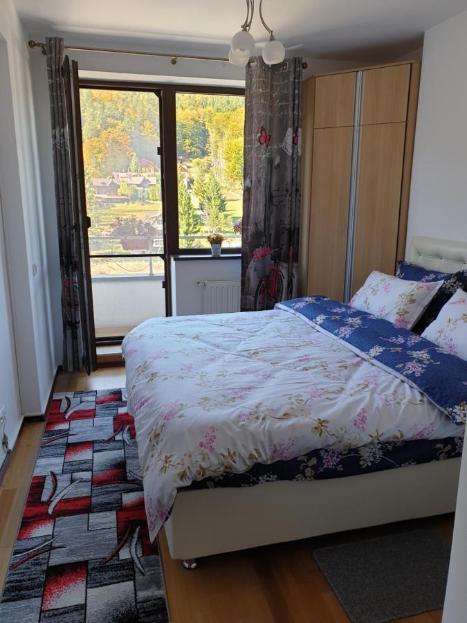 Sophie Apartament Appartamento Sinaia Esterno foto