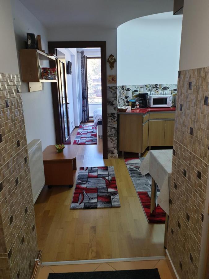 Sophie Apartament Appartamento Sinaia Esterno foto