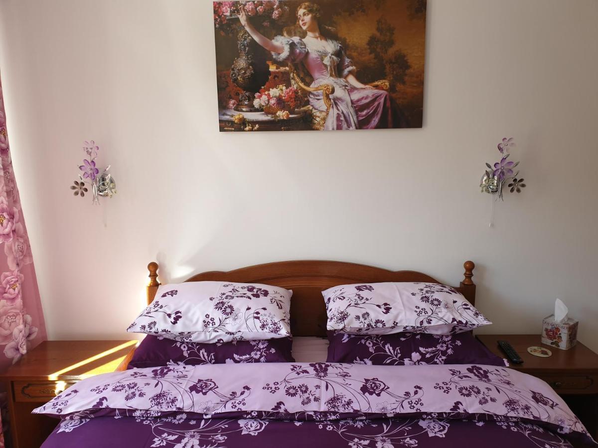 Sophie Apartament Appartamento Sinaia Esterno foto
