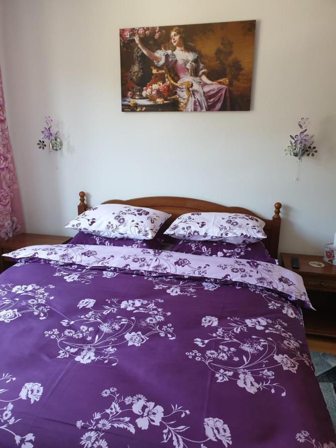 Sophie Apartament Appartamento Sinaia Esterno foto
