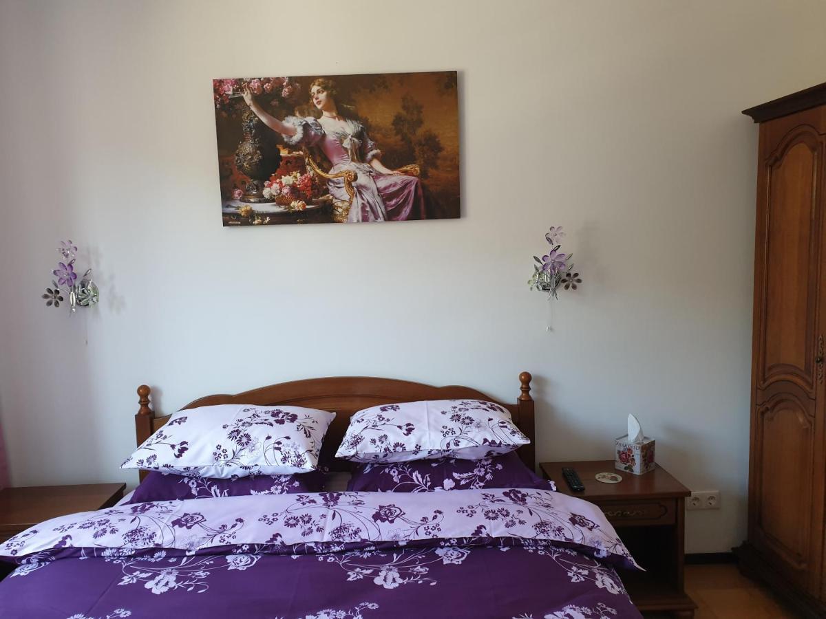 Sophie Apartament Appartamento Sinaia Esterno foto