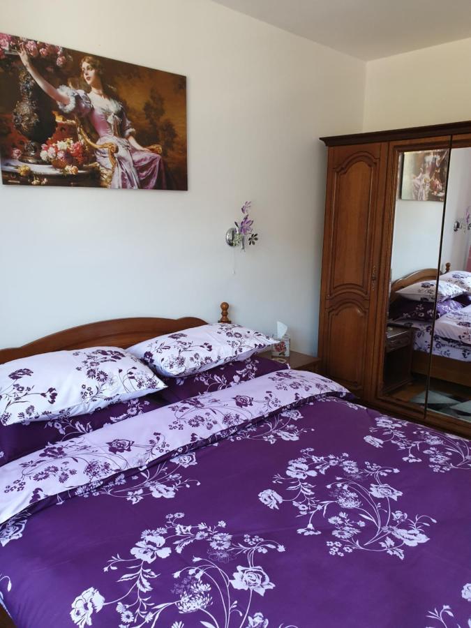 Sophie Apartament Appartamento Sinaia Esterno foto