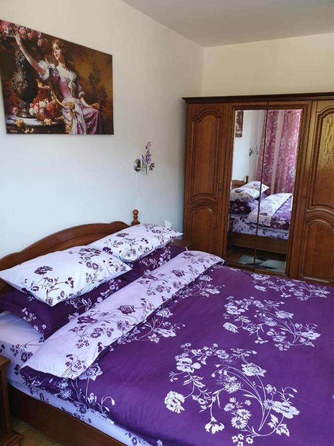 Sophie Apartament Appartamento Sinaia Esterno foto