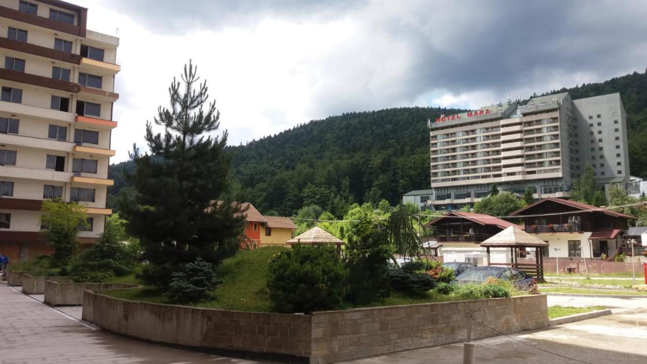 Sophie Apartament Appartamento Sinaia Esterno foto