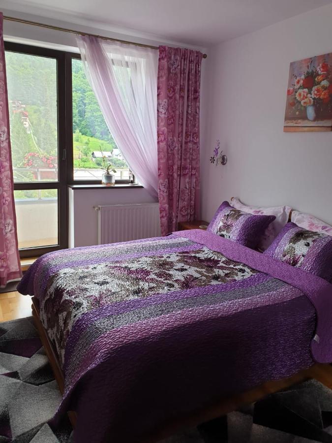 Sophie Apartament Appartamento Sinaia Esterno foto