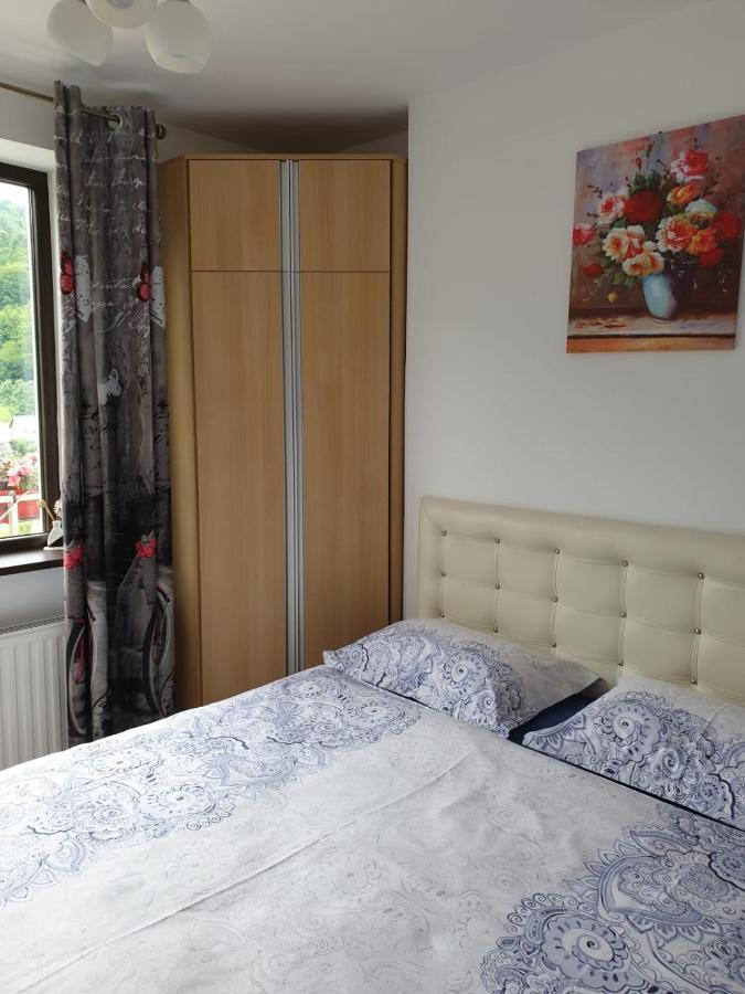 Sophie Apartament Appartamento Sinaia Esterno foto