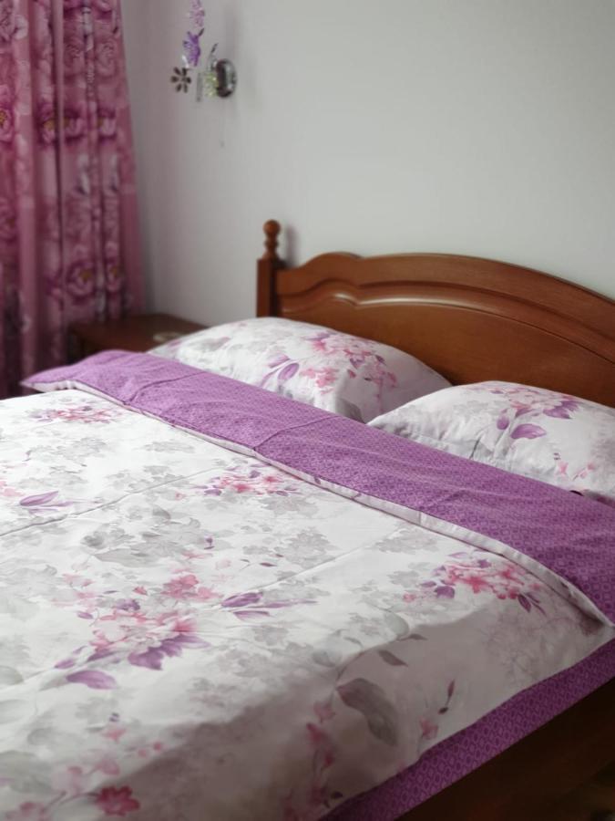 Sophie Apartament Appartamento Sinaia Esterno foto