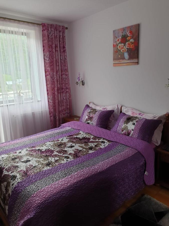 Sophie Apartament Appartamento Sinaia Esterno foto