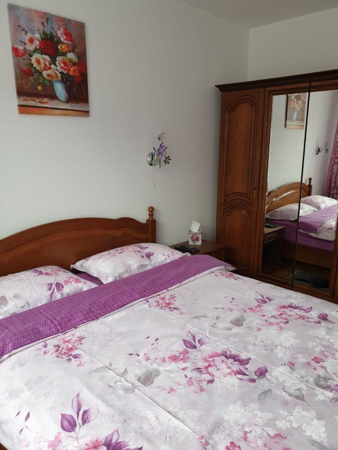 Sophie Apartament Appartamento Sinaia Esterno foto