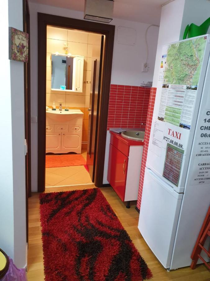 Sophie Apartament Appartamento Sinaia Esterno foto