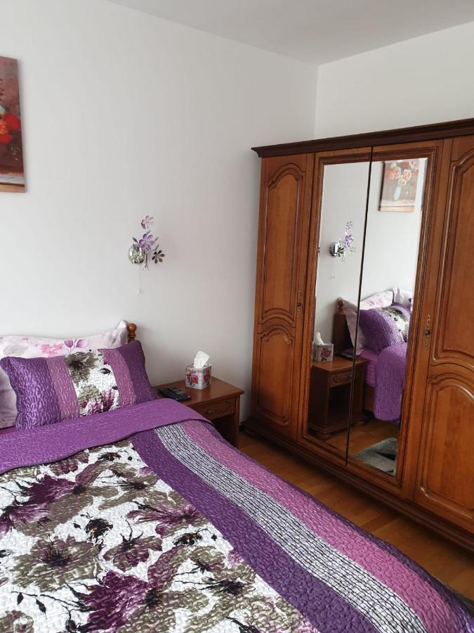 Sophie Apartament Appartamento Sinaia Esterno foto