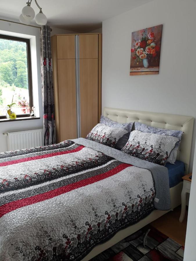 Sophie Apartament Appartamento Sinaia Esterno foto