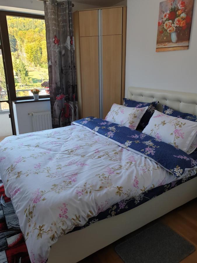 Sophie Apartament Appartamento Sinaia Esterno foto