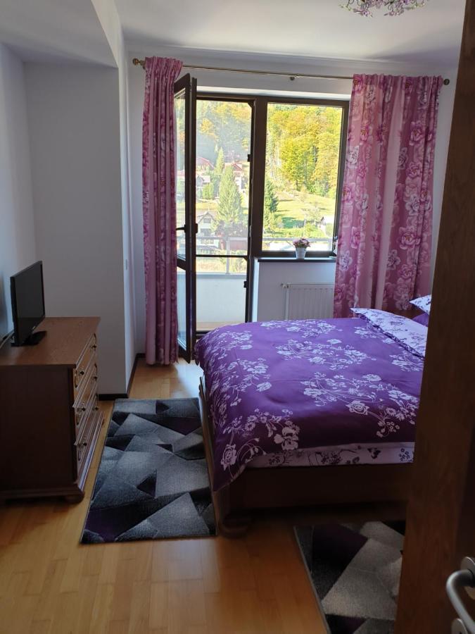 Sophie Apartament Appartamento Sinaia Esterno foto
