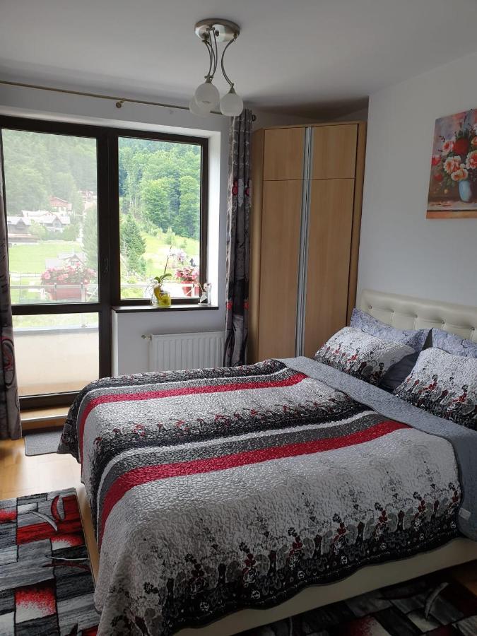 Sophie Apartament Appartamento Sinaia Esterno foto