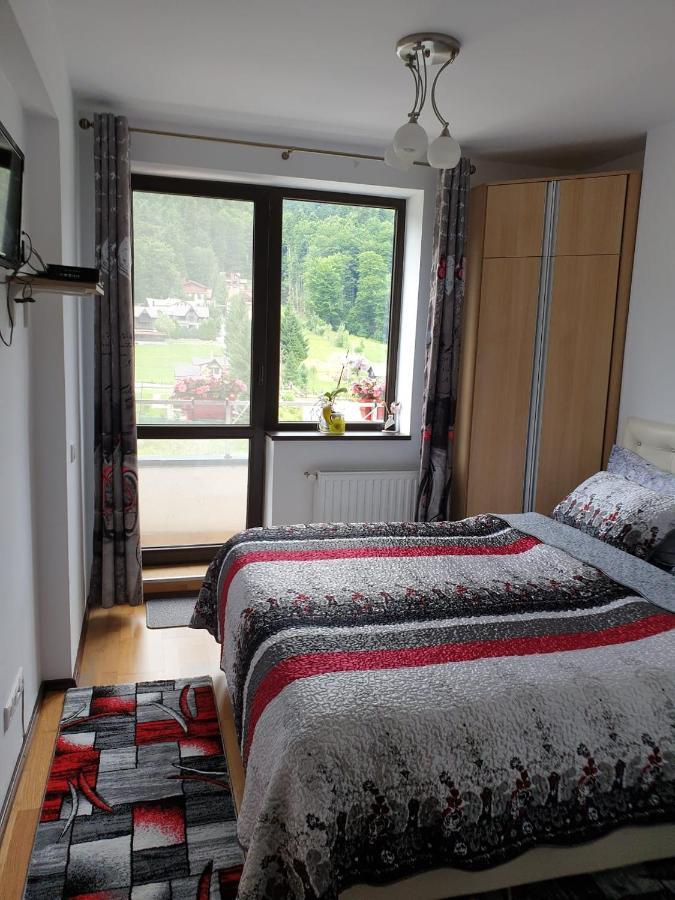 Sophie Apartament Appartamento Sinaia Esterno foto