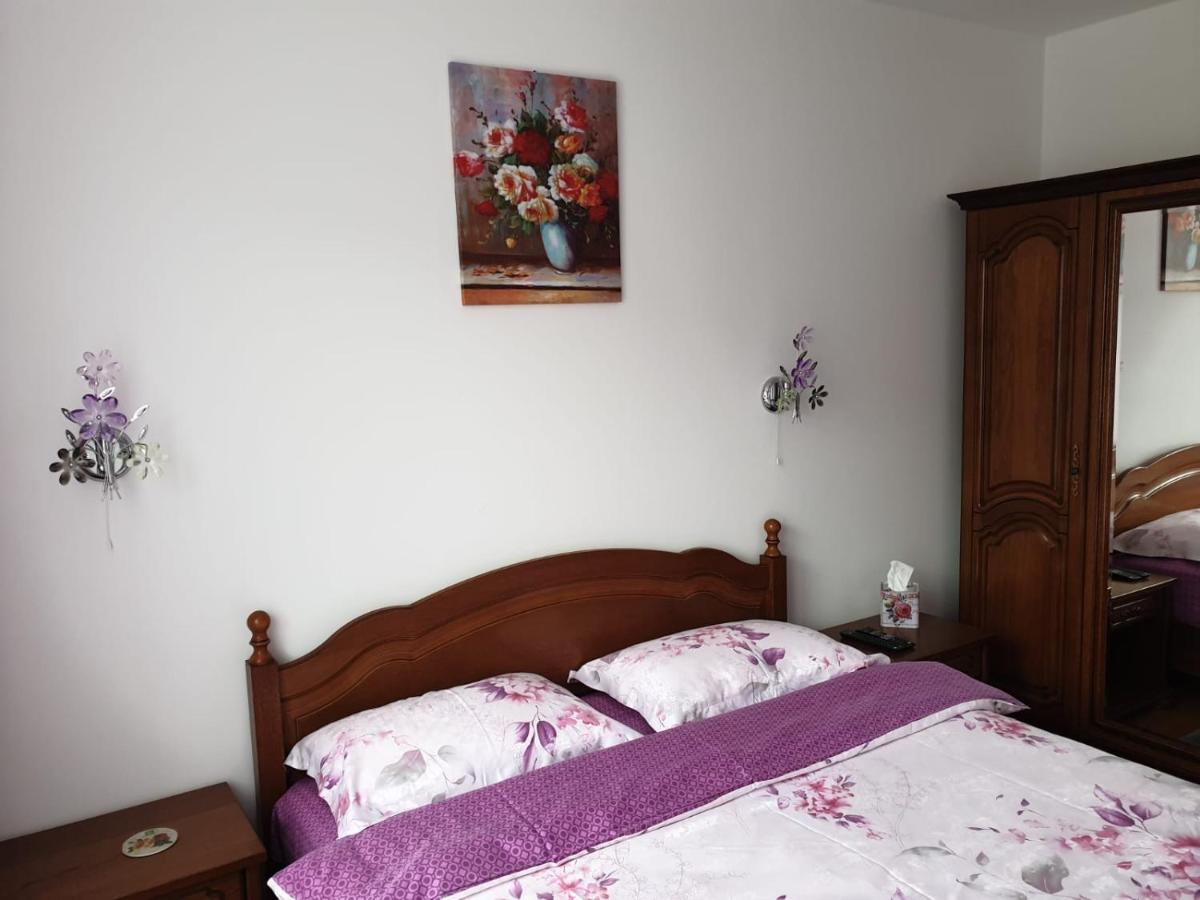 Sophie Apartament Appartamento Sinaia Esterno foto