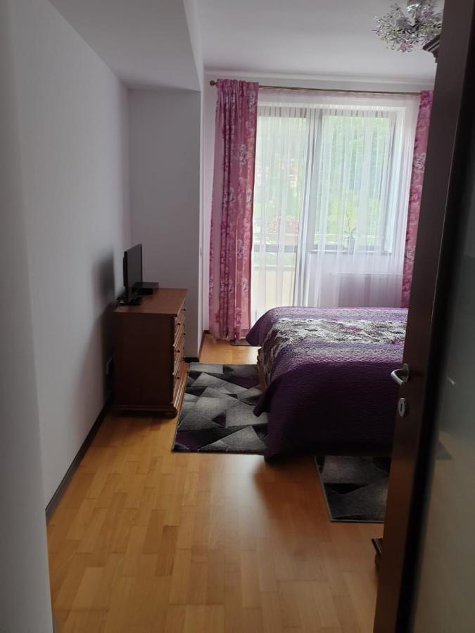 Sophie Apartament Appartamento Sinaia Esterno foto