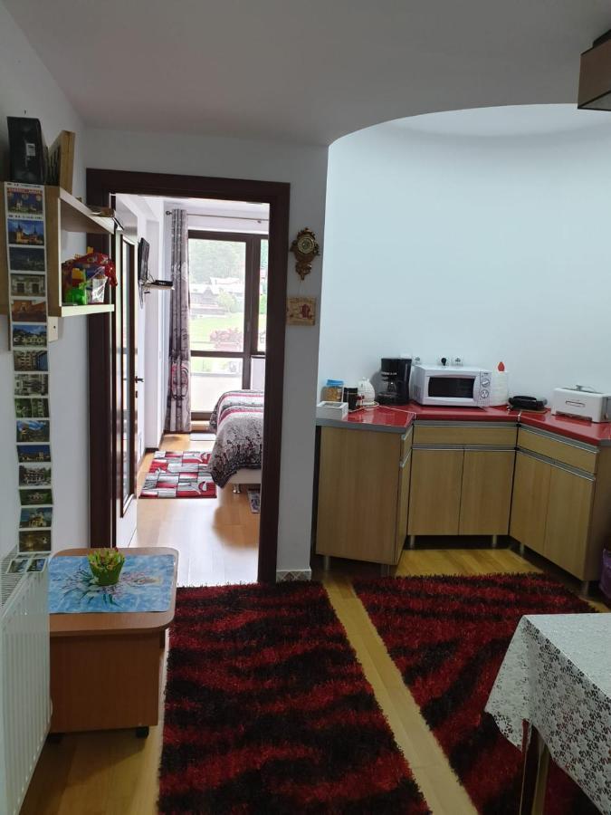 Sophie Apartament Appartamento Sinaia Esterno foto