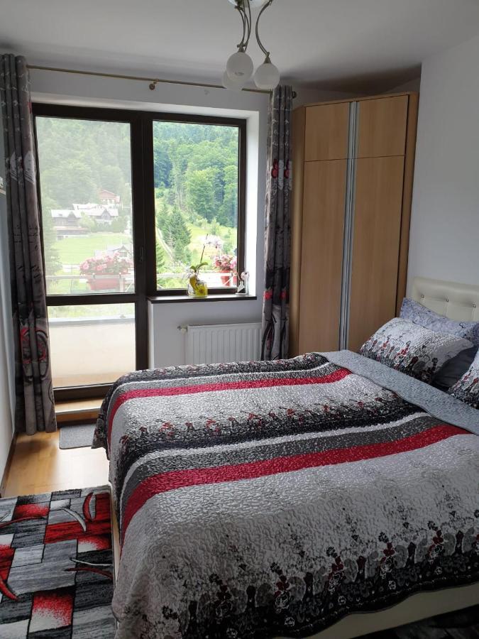 Sophie Apartament Appartamento Sinaia Esterno foto