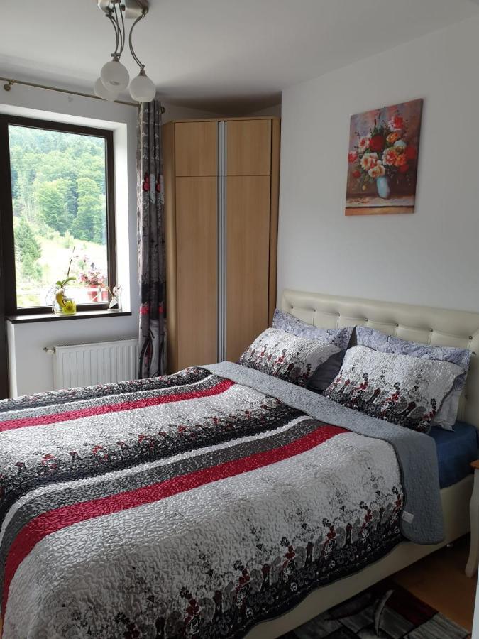 Sophie Apartament Appartamento Sinaia Esterno foto