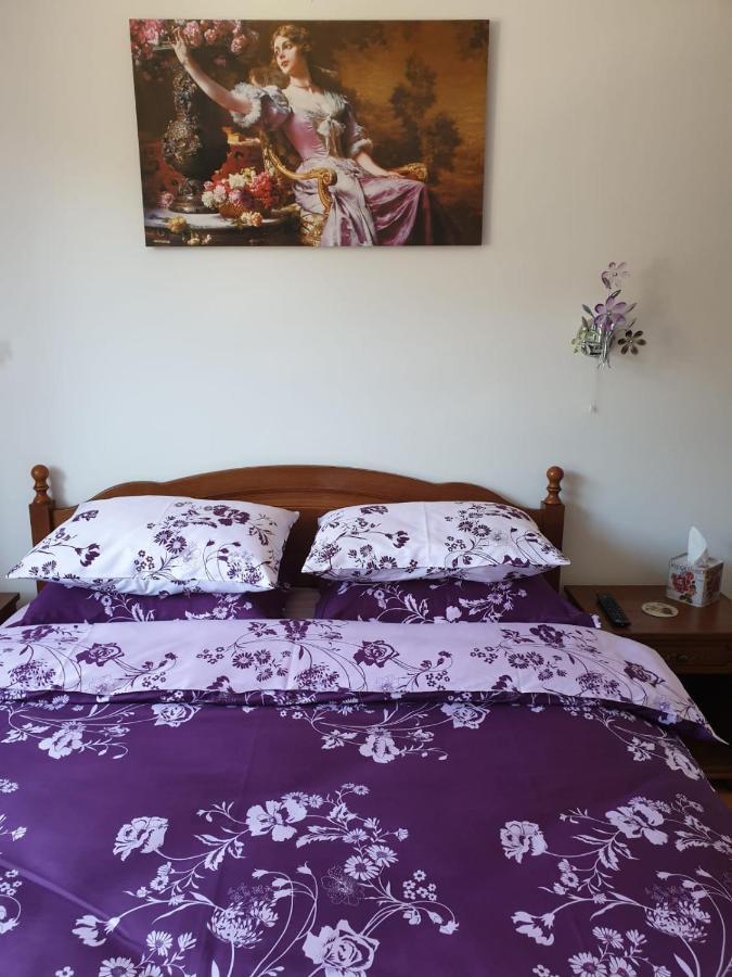 Sophie Apartament Appartamento Sinaia Esterno foto