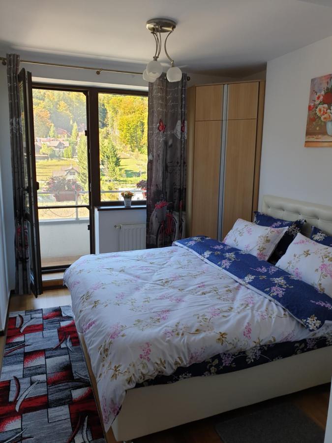 Sophie Apartament Appartamento Sinaia Esterno foto