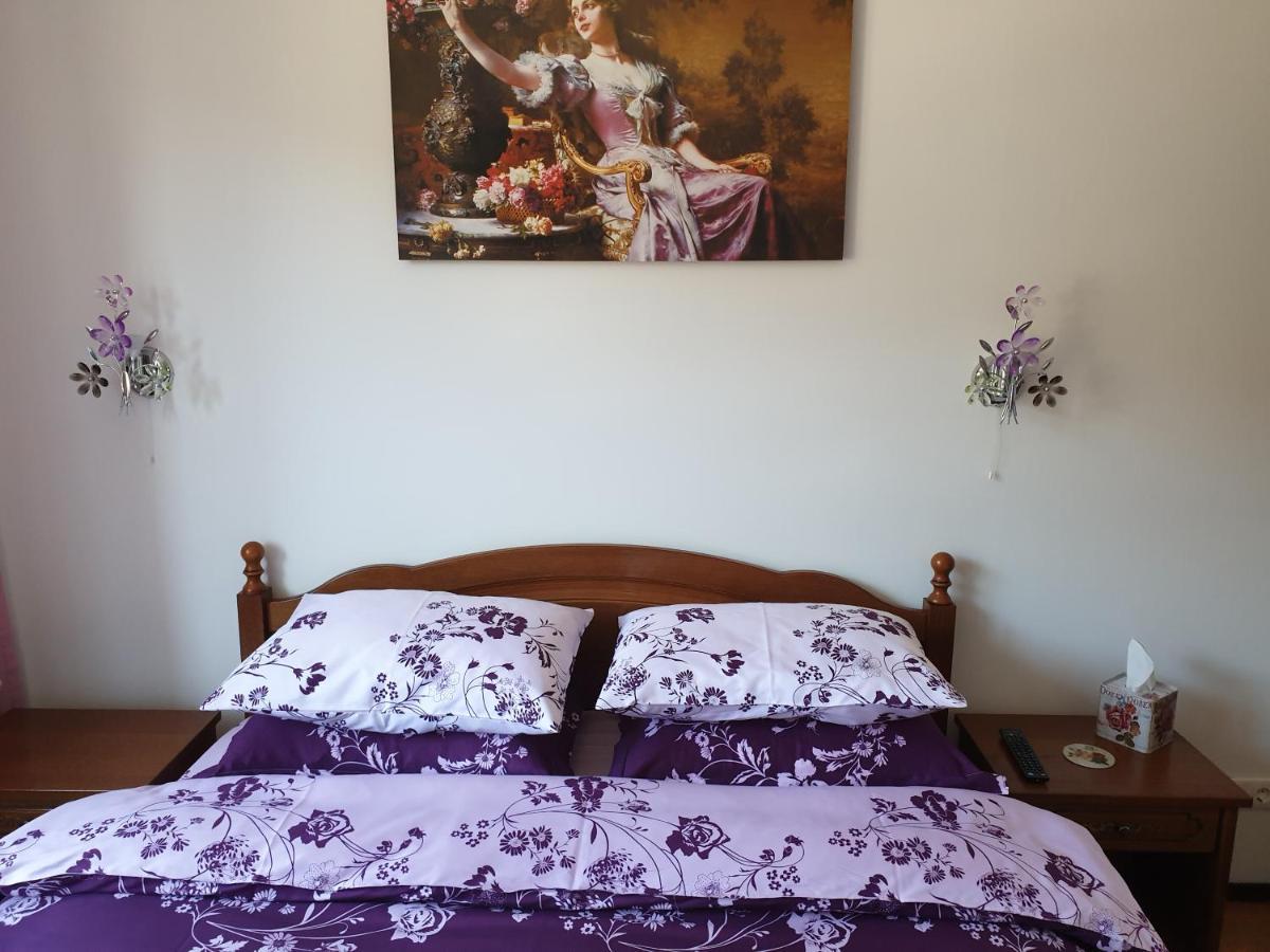 Sophie Apartament Appartamento Sinaia Esterno foto
