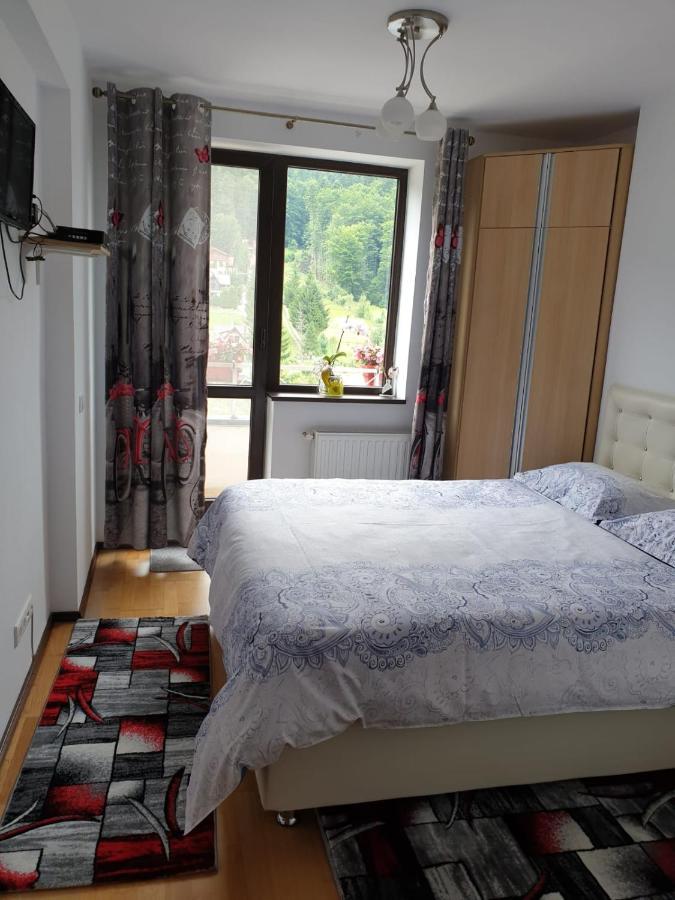 Sophie Apartament Appartamento Sinaia Esterno foto