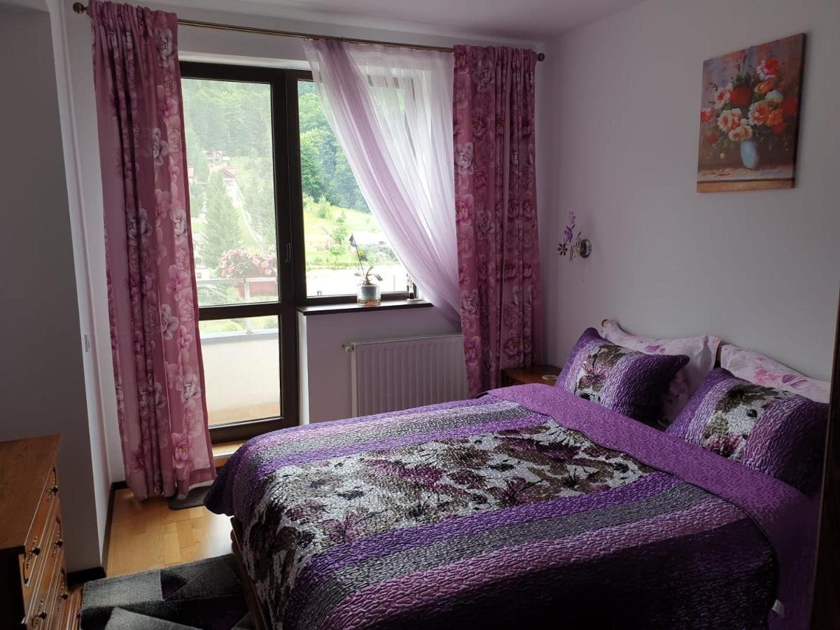 Sophie Apartament Appartamento Sinaia Esterno foto