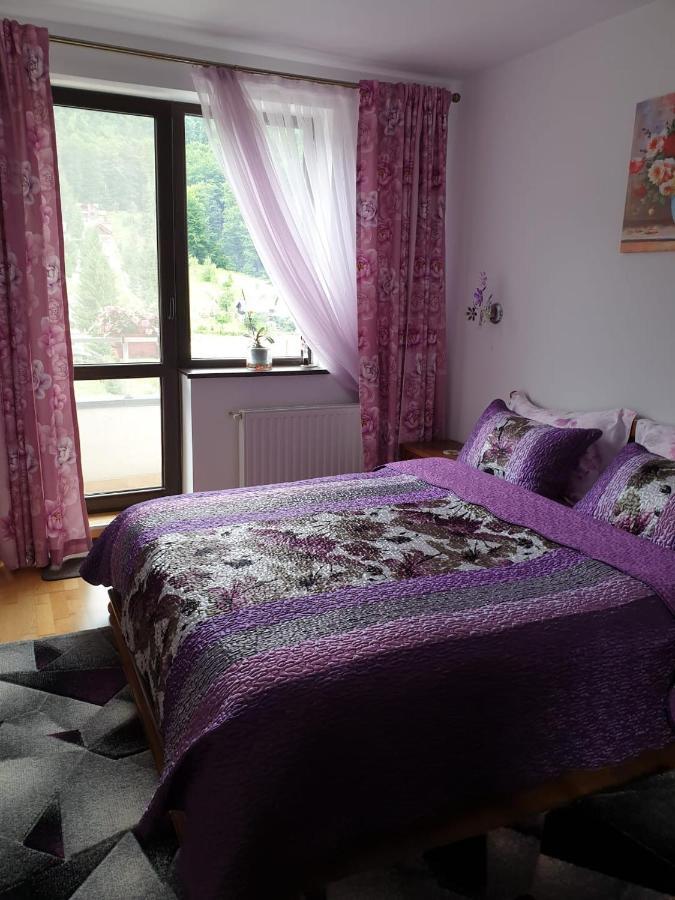Sophie Apartament Appartamento Sinaia Esterno foto